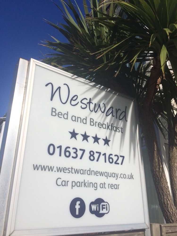 Westward B&B New Quay Exterior foto